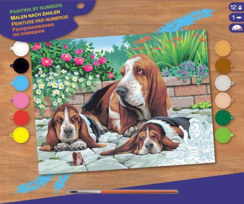 Mammut Bassethunde, Festás számok után (8240044)