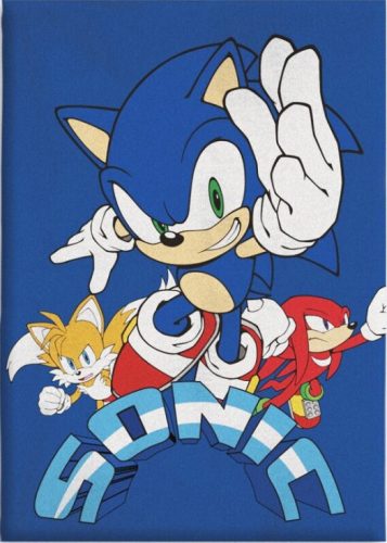 Sonic a sündisznó Coin Chase polár takaró 100x140cm