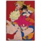 Dragon Ball Hues of Power coral fleece takaró 110x150cm