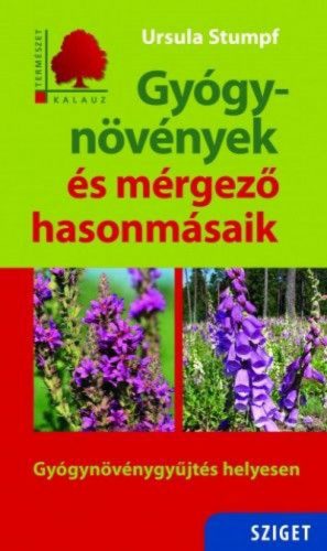 Gyógynövények és mérgező hasonmásaik