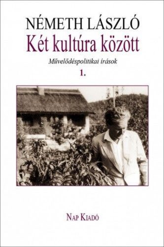 Két kultúra között. Művelődéspolitikai írások 1. kötet