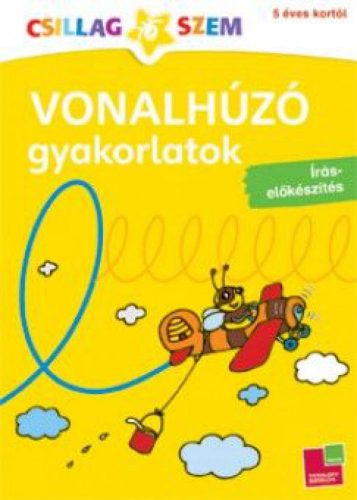 Vonalhúzó gyakorlatok - Írás-előkészítés