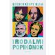 Irodalmi popikonok