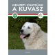 Nemzeti kincsünk a kuvasz