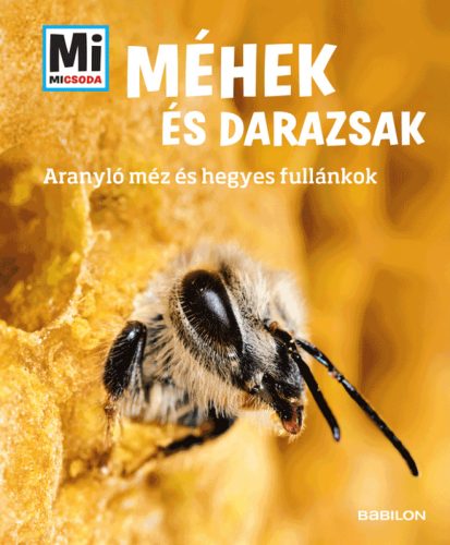 Méhek és darazsak – Mi MICSODA