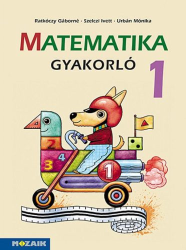 Matematika gyakorló 1. osztály (MS-1663U)