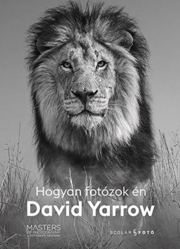 Hogyan fotózok én - David Yarrow