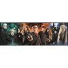 Harry Potter Foe 1000 db-os panorama puzzle Clementoni