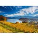 Vineyards, 2000 pcs (58953) Weinberge