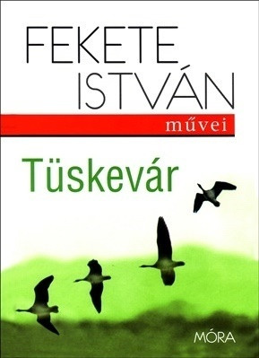 Tüskevár