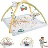 Fisher-Price Sensimals játszószõnyeg koalával HRB15