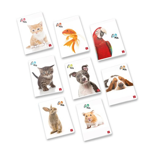 Füzet Pigna Play with Pets A/4 tűzött 50 lapos kockás