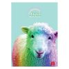 Füzet Pigna Animal Rainbow A/4 tűzött 38 lapos kockás