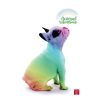 Füzet Pigna Animal Rainbow A/4 tűzött 38 lapos kockás