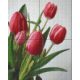 Pixelhobby  804015 Tulipán (20,3x25,4cm) négy alaplapos szett