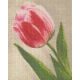 Pixelhobby  804073 Tulipán (20,3x25,4cm) négy alaplapos szett