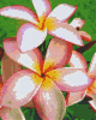 Pixelhobby  804273 Virág (20,3x25,4cm) 4 alaplapos szett