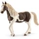 Schleich 13830 Pinto kanca