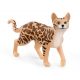 Schleich 13918 Bengáli macska