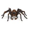 Schleich 13987 Harry Potter Aragog játékfigura