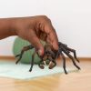 Schleich 13987 Harry Potter Aragog játékfigura