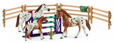 Schleich 42433 Horse Club, Lisa edzése versenyre