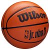 Kosárlabda Wilson NBA Jr DRV FAM 4-es méret