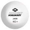 Ping-pong labda Donic Jade Spare Time 12 db